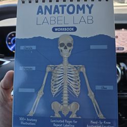 Anatomy Label Lab Workbook