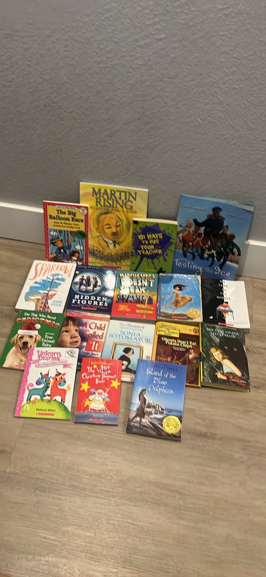 17 Teens Books 