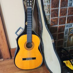 Acoustic Guitar 