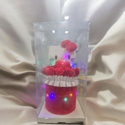 Hello Kitty Bouquet 2oth LED Lights And Cristal Box !