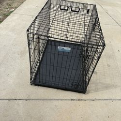 Large Cage 