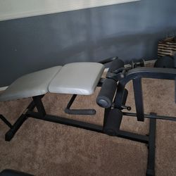 Leg Curl And Extension 