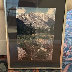 Grand Tetons framed photo