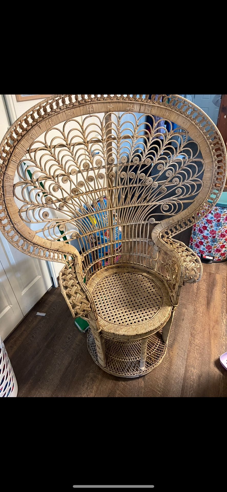 Peacock Chair