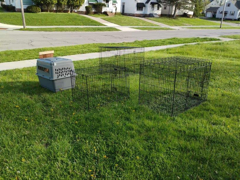 Large Dog Cages Each.......
