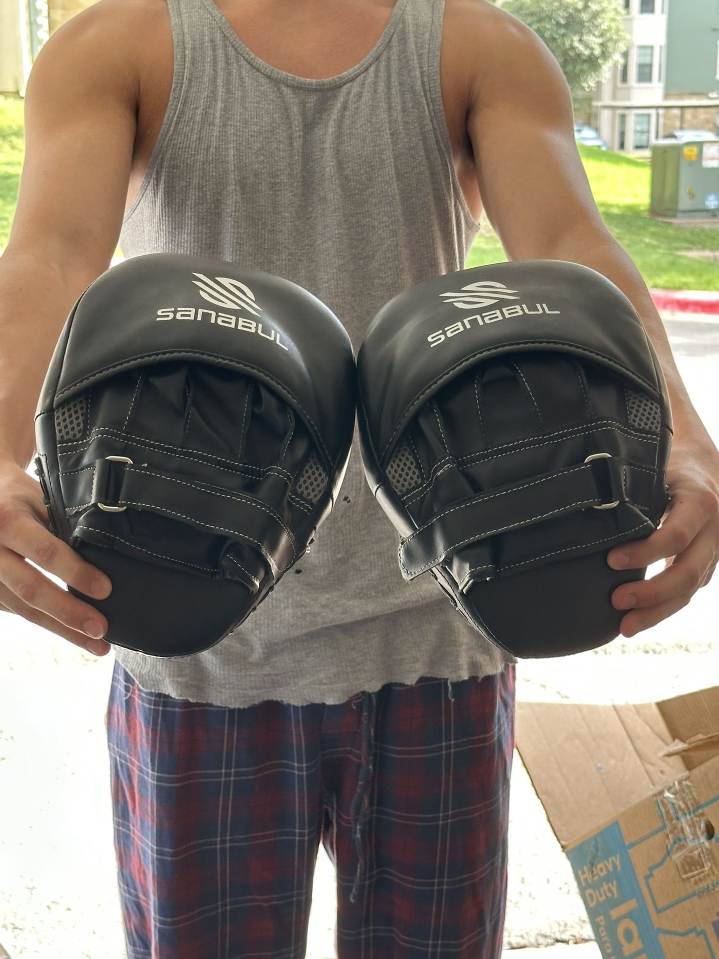 Punch Mitts
