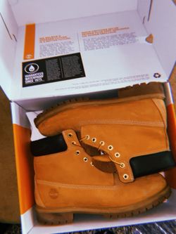 Timbs Sz 12