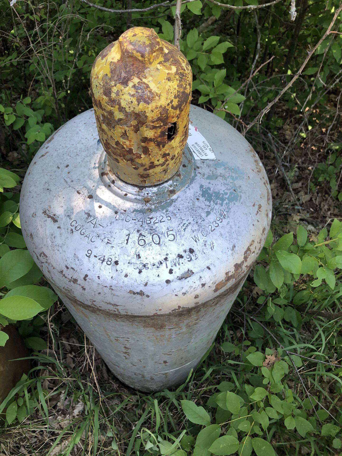 100lb Propane Tank