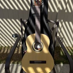 Protege Acoustic Guitar