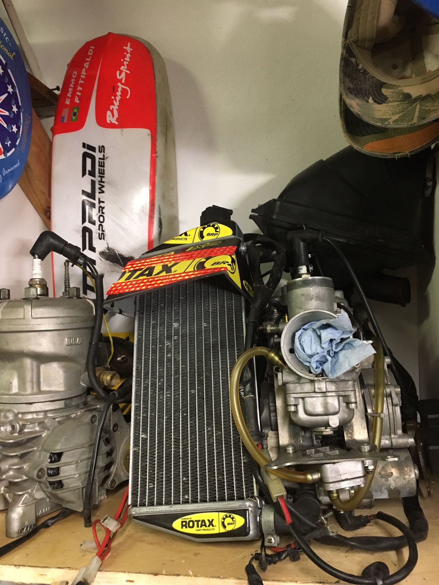 Rotax Evo kart engine