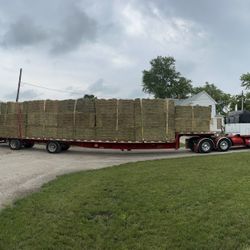 Hay For Sale 