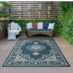 8/10 Outdoor Indoor Rug Carpet 