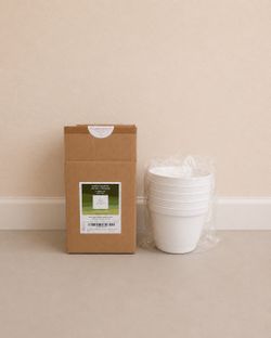 Botanicals White Self-Watering Planter Set (5 Pots + Saucers)
