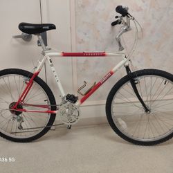 Mid 80s Takara Conquest ATB/Commuter - 21"