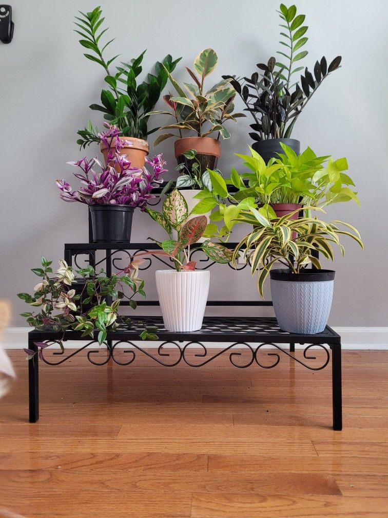3 Step Plant Stand