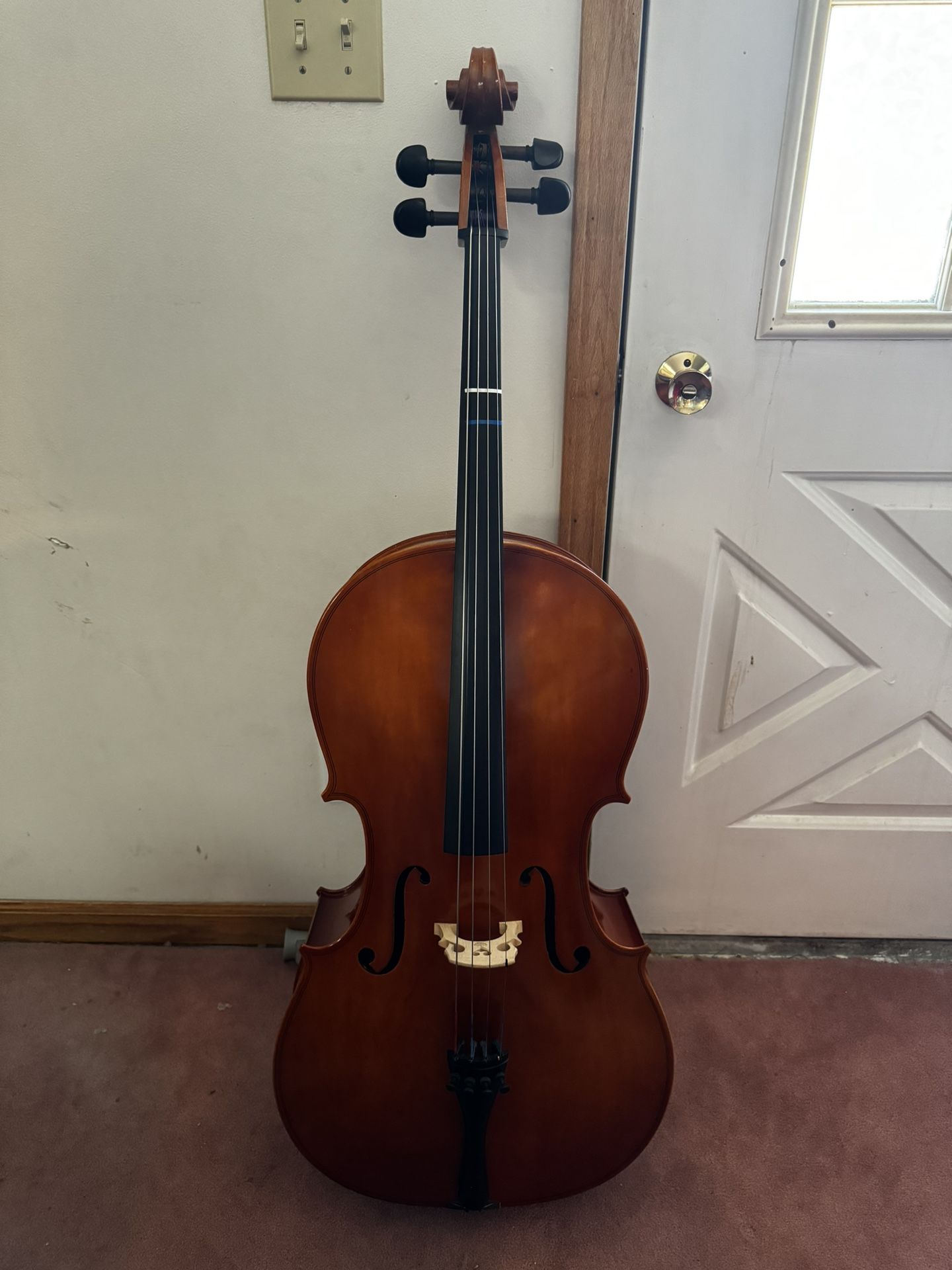 2015 Eastman Strings Etude Model 4/4 Cello