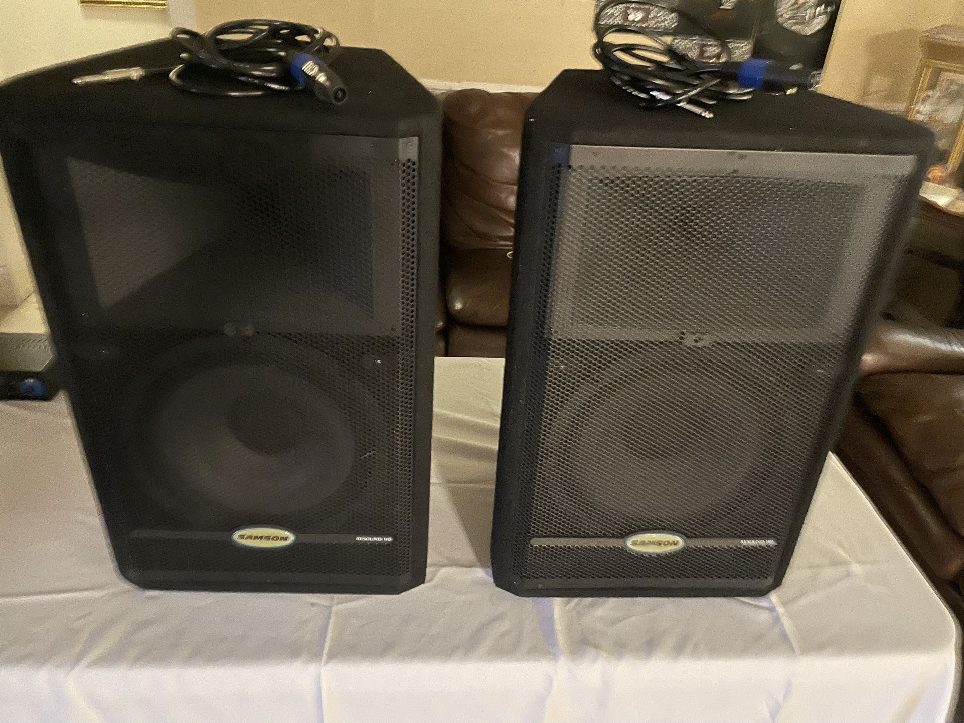 Samson RS12 HD Resound Series 2-Way 250w Passive 12" PA Speaker