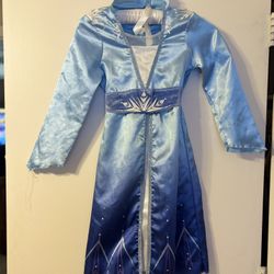 Elsa Frozen costume dress 