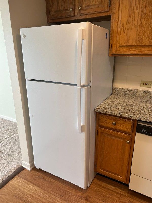 The Fridge
