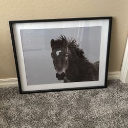 Horse Picture With Black Frame
