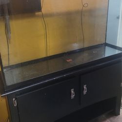 60 Gallon Aquarium And Stand