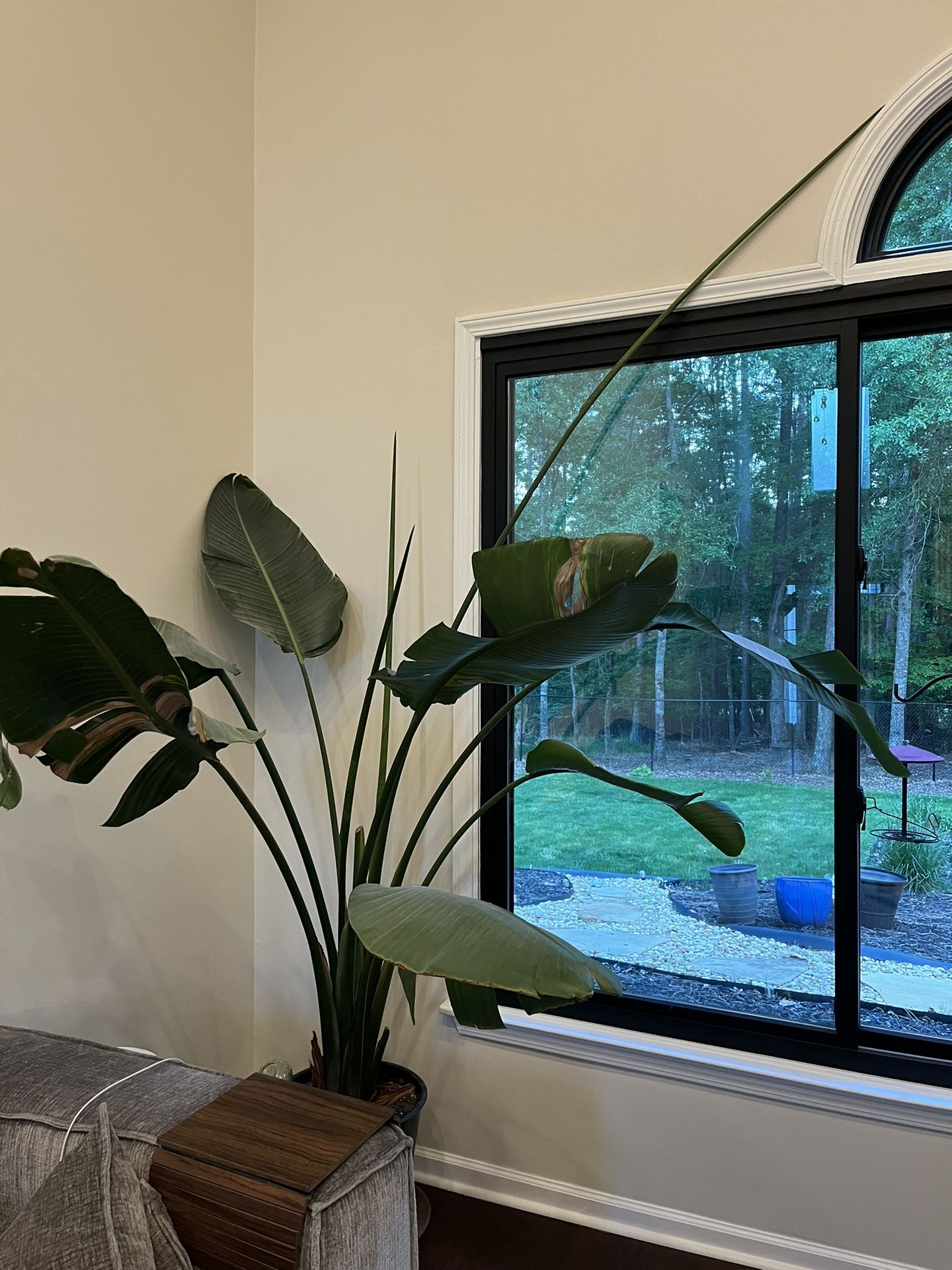 Beautiful Houseplant,All Products : American Fashion Style Bags On Sale