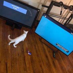 50 Inch TVs With Remotes 