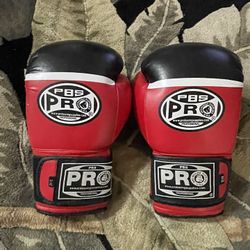 Pro Boxing Gloves