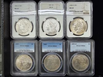 Graded Morgan Silver Dollars
