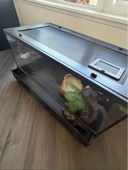Front Opening Reptile Terrarium with Stand & Drawer