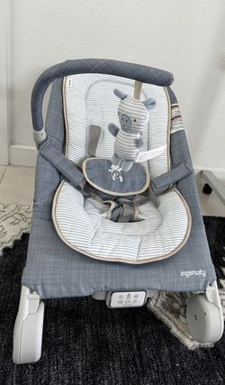 Ingenuity Baby Bouncer