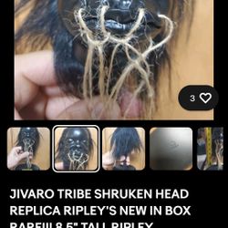 Jivaro Tribe Shrunken Head Replica Ripley's Believe It Or Not