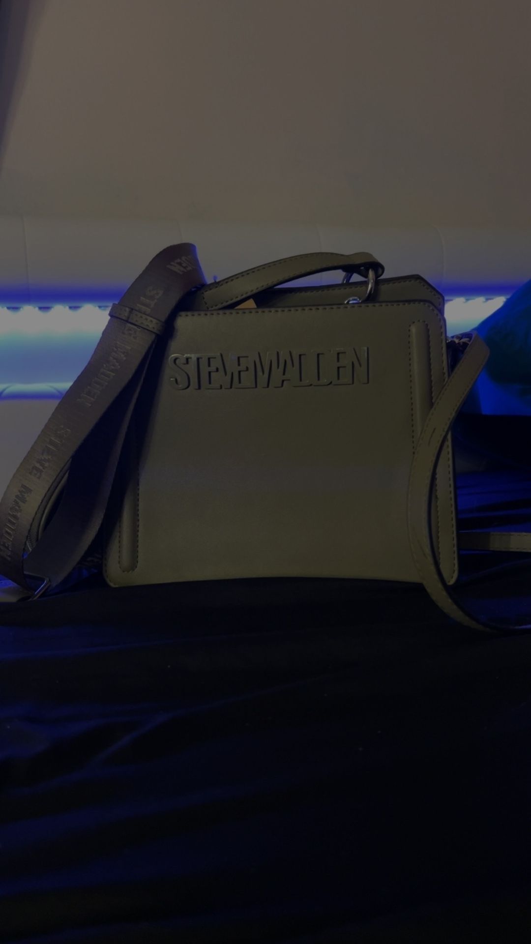 Steve Madden Bag