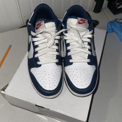Nike Dunks 