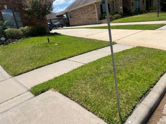 Pressure washer