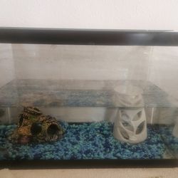 Fish Tank With Beta Fish