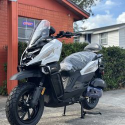 WILD HOGS WINTER GARDEN DEALER