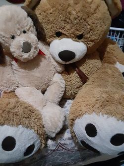 Who's Bears? (Gift item) $15.00 cash only (serious buyers)