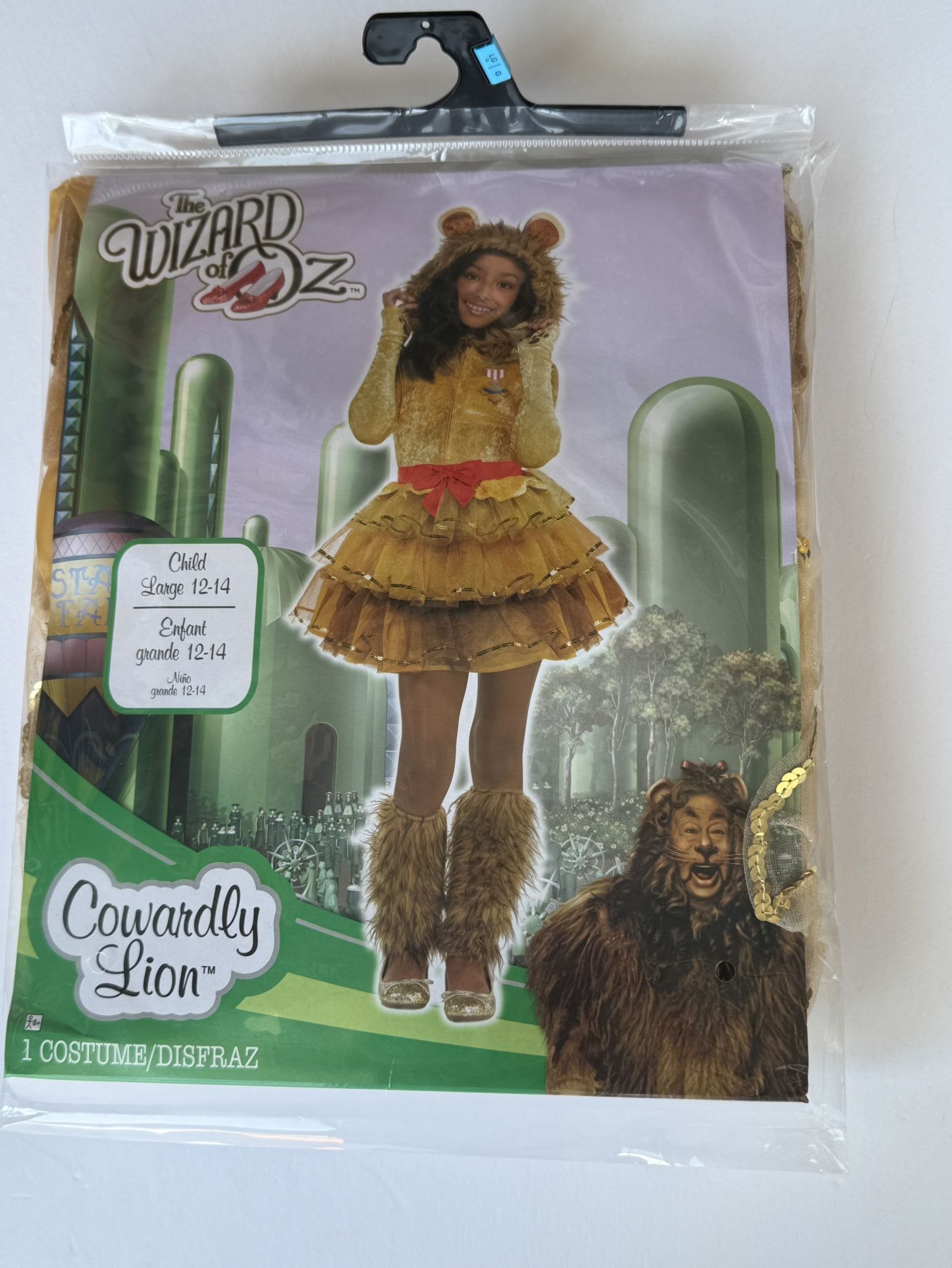 Wizard Of Oz Costume