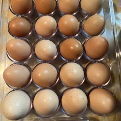 Fresh  Eggs/ huevos de Rancho $6 dozen 