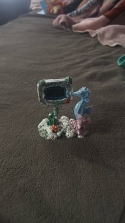 Fish Tank Thermometer