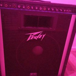 PEAVEY 15 INCH  KB 300
