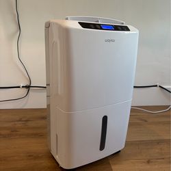Waykar Dehumidifier