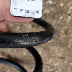 Tesla Springs.