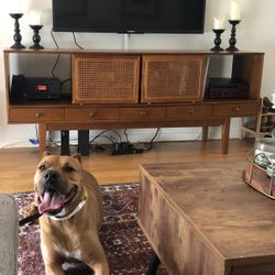Mid-Century Style Media Console