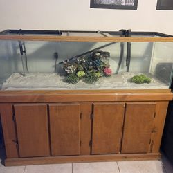 100 Gal Fish Tank, Stand, Heater And Accessories 