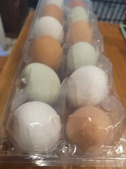 Fresh Eggs