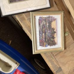 Framed Pictures 