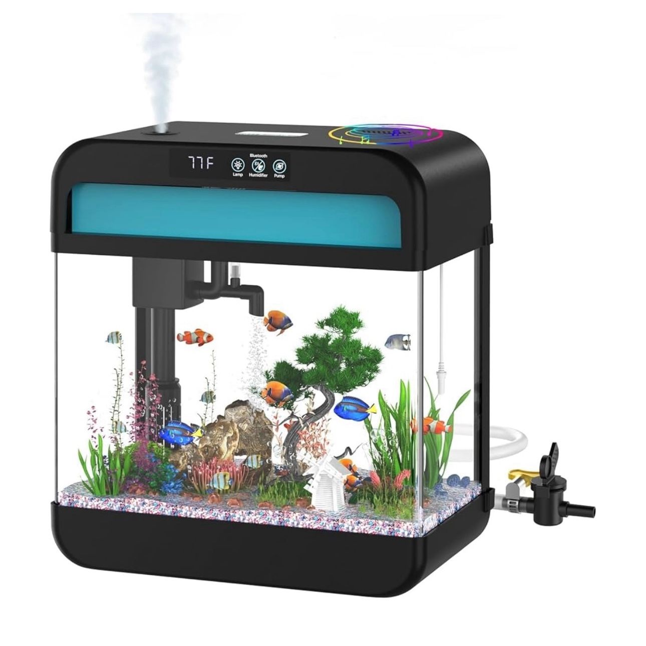 Fish Tank