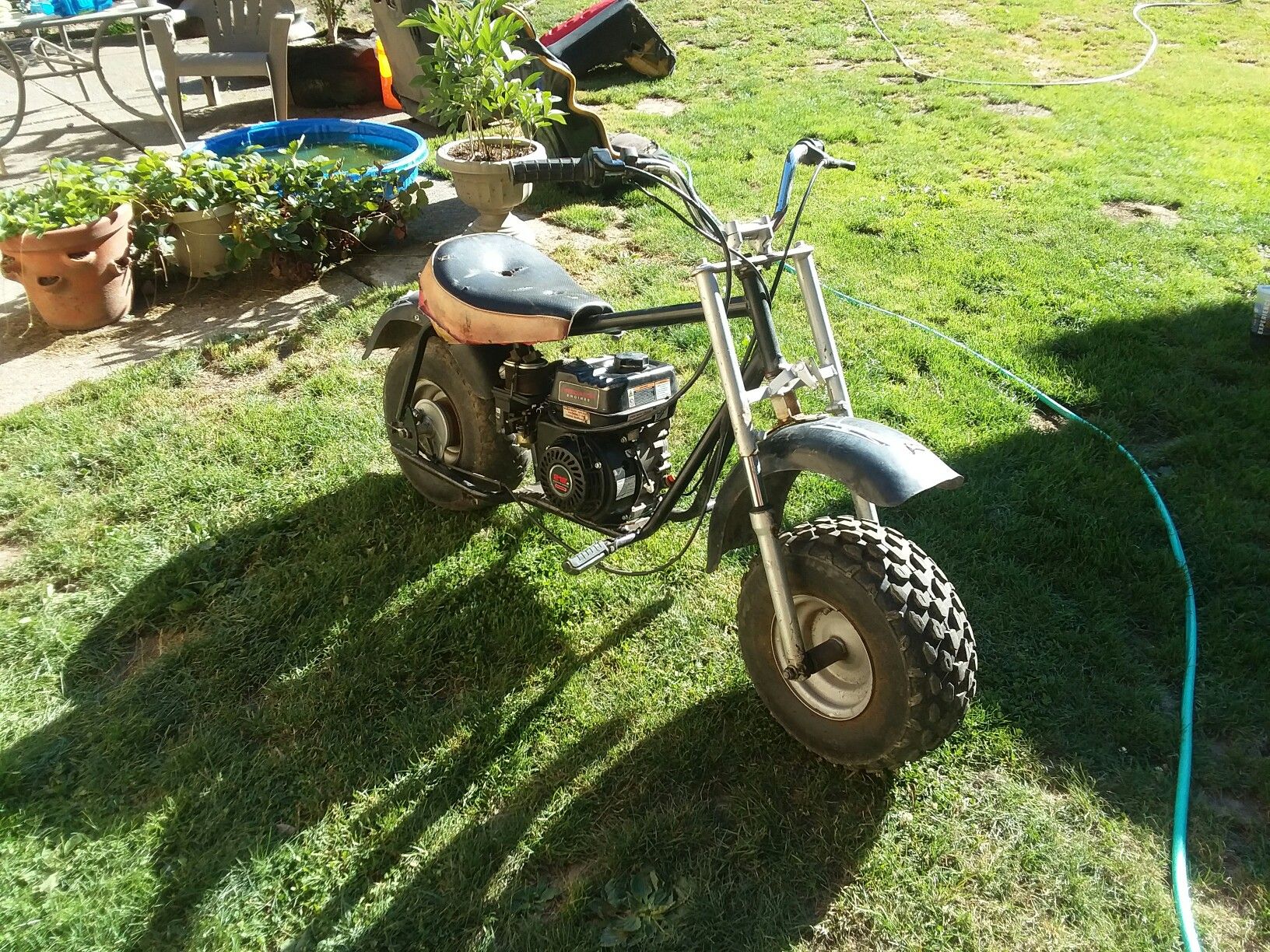 Tote goat for Sale in Lacey, WA OfferUp